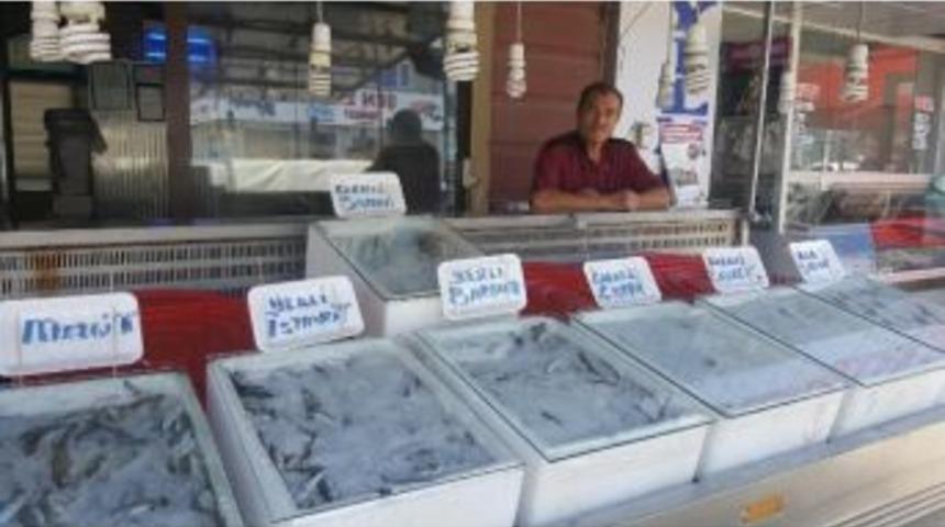 Alaplı’da Ramazan Ayında Balık Tüketimi Azaldı