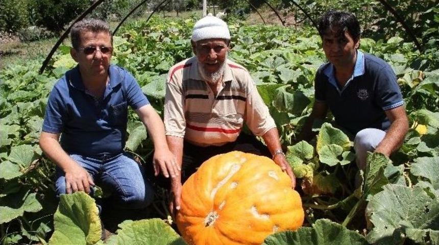 Huzurevi Kabakla Rekora Koşuyor