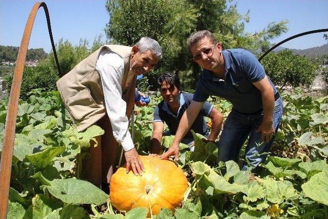 Huzurevi Kabakla Rekora Koşuyor