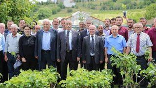 Tokat’ta Tıbbi Aromatik Bitki Projesi