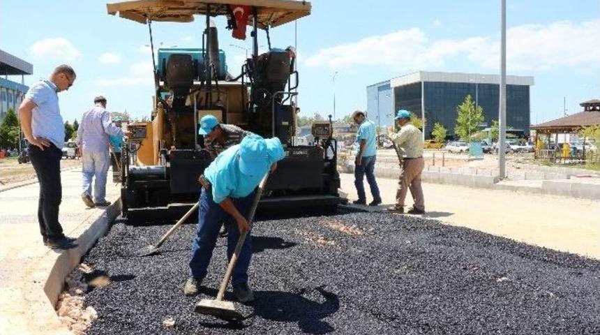 Hafsa Sultan&rsquo;da Yollar Yenilendi
