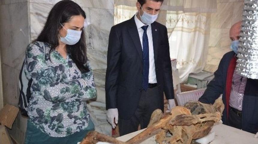 &rsquo;atlı Kadın Arkeolojik Buluntuları Araştırma Projesi&rsquo;ni T&uuml;rk Uzmanlar İnceleyecek