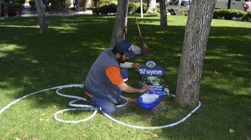 Turgutlu Belediyesi Sokak Hayvanları İ&ccedil;in Seferber Oldu