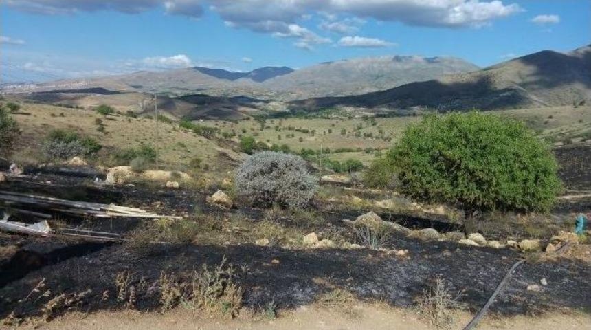 30 D&ouml;n&uuml;m &Uuml;z&uuml;m Bağı Yangında Zarar G&ouml;rd&uuml;