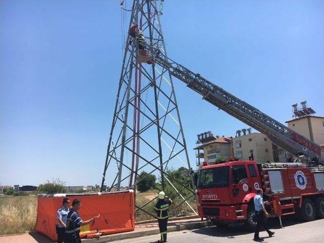 Otobüs Şoförüne Kızdı Elektrik Direğine Çıktı