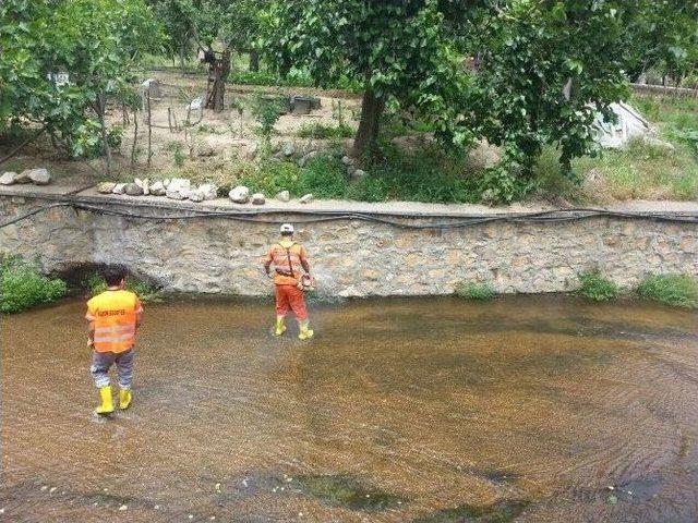 Bilecik Belediyesi’nden Dalakdere’de Kapsamlı Temizlik Çalışması