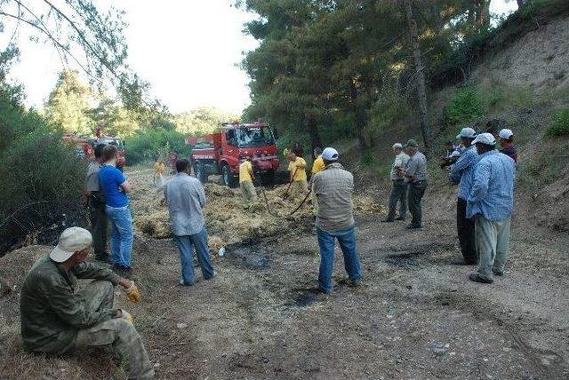 Saman Yüklü Traktör Yandı