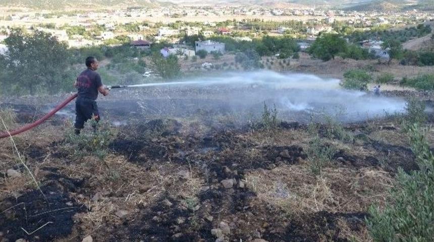 T&uuml;rkoğlu&rsquo;nda Zeytinlik Yangını