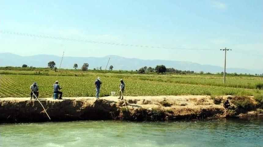 Olta Balık Yerine Y&uuml;ksek Gerilme Takıldı