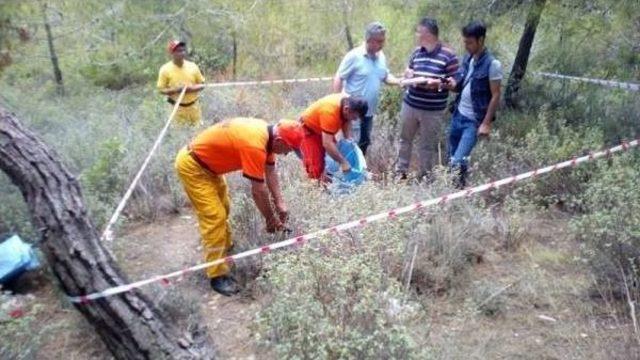 Mersin’de Odüh Envanter Planlama Çalışmaları Devam Ediyor