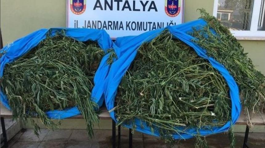 Foto Kapanlı Uyuşturucu Operasyonu