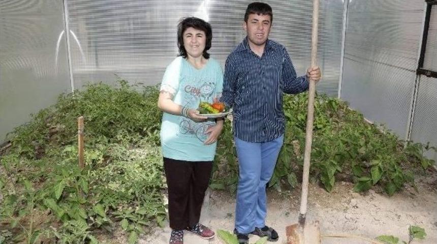 Nevşehir&rsquo;de Engelsiz Sera