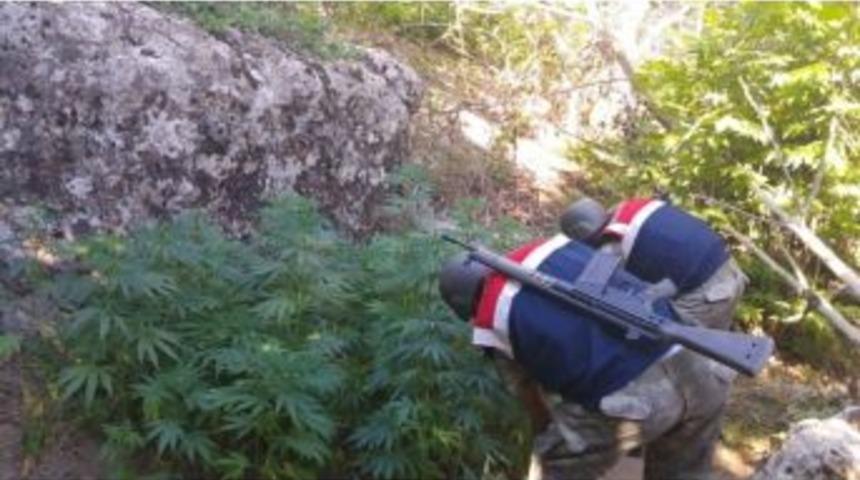 Diyarbakır&rsquo;da Uyuşturucu Tacirlerine Darbe