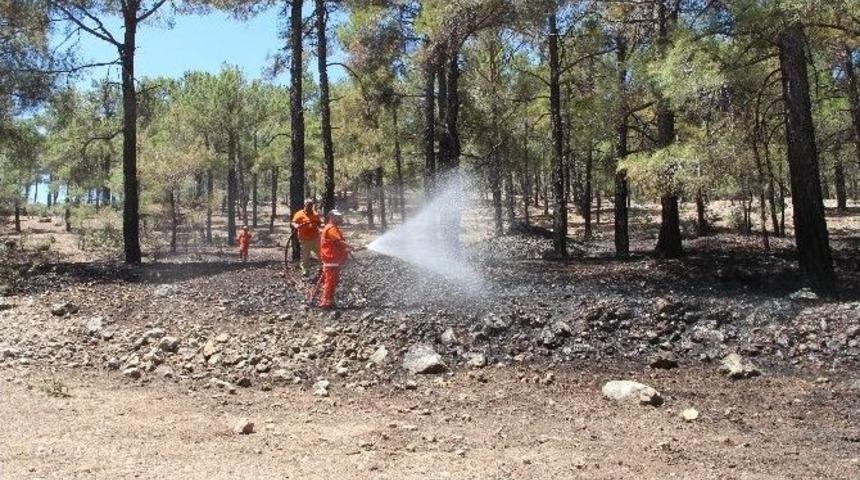 Mut&rsquo;ta Orman Yangını