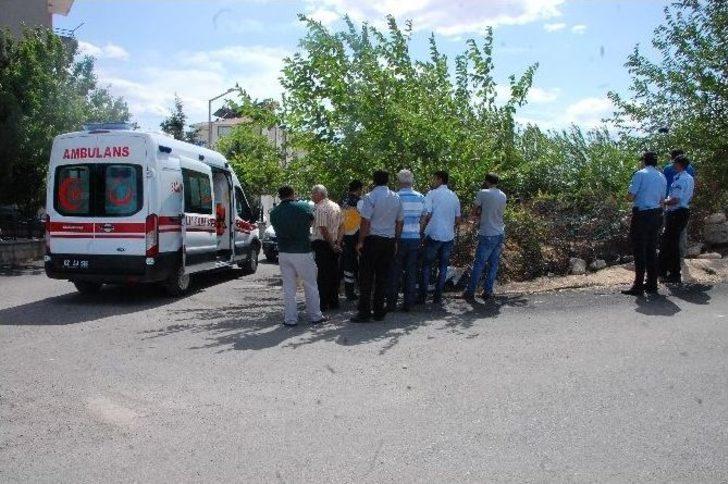 Yaşlı Adam Bahçede Ölü Bulundu G2