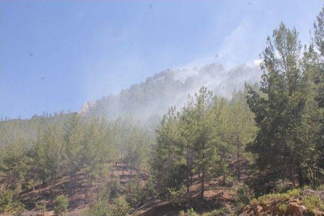 Gazipaşa’daki Orman Yangını Kontrol Altına Alındı