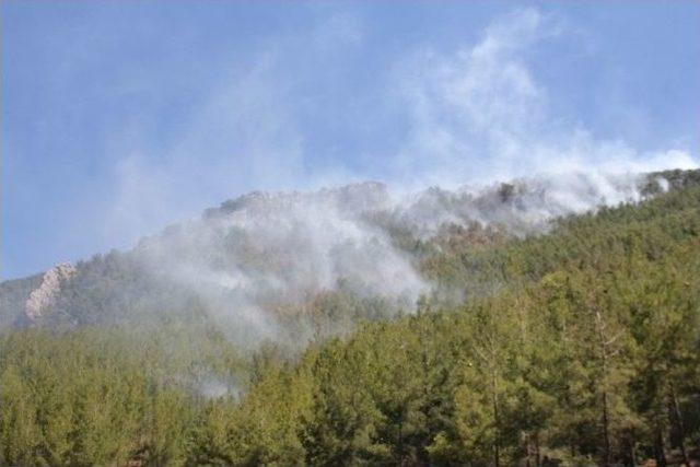 Gazipaşa’daki Orman Yangını Kontrol Altına Alındı