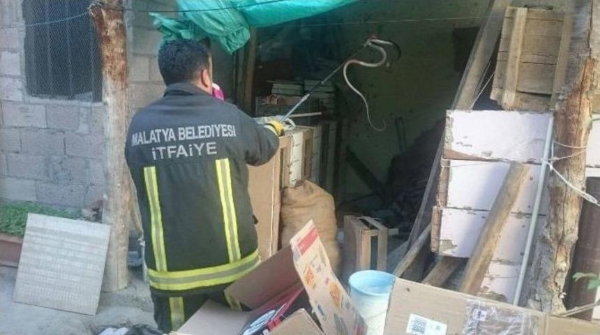 Malatya&rsquo;da Evin Odunluğuna Yılan Girdi