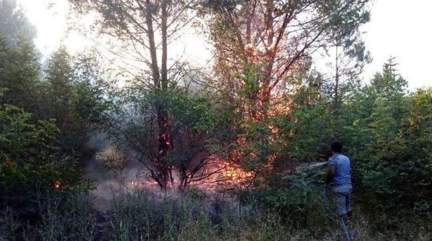 Antalya&rsquo;da Orman Yangını