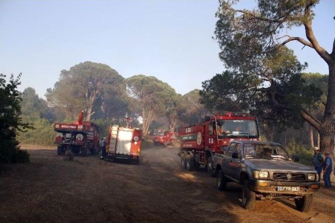 Antalya&rsquo;da 1.5 Hektar Orman K&uuml;l Oldu