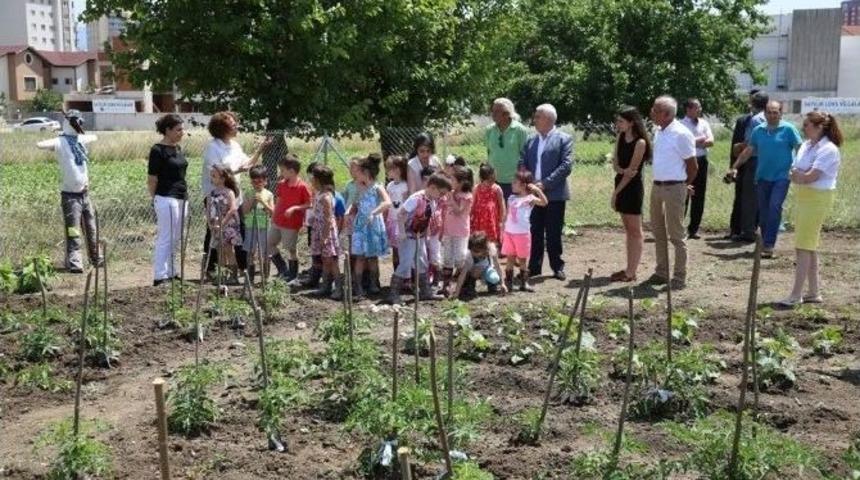 19 Mayıs Mahallesi Park Ve Meydanına Kavuşuyor