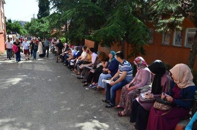 Zonguldak’ta Lys Heyecanı