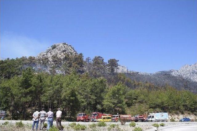 Antalya’da Orman Yangını