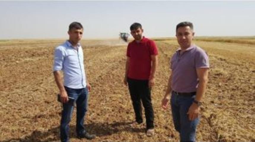 Ziraat M&uuml;hendisleri Odasından Anız Uyarısı