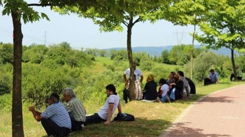 Sakarya&rsquo;da Lys Maratonu