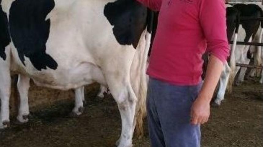 &Uuml;reticiyi Perişan Eden &Ccedil;i&ccedil;ek Hastalığına Karşı Antikoil Hbx-2371 Umudu