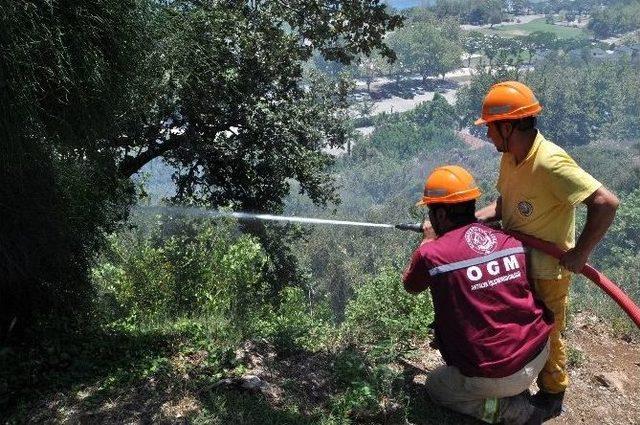 Konyaaltı Beach Park’ta Çıkan Yangın Paniğe Neden Oldu