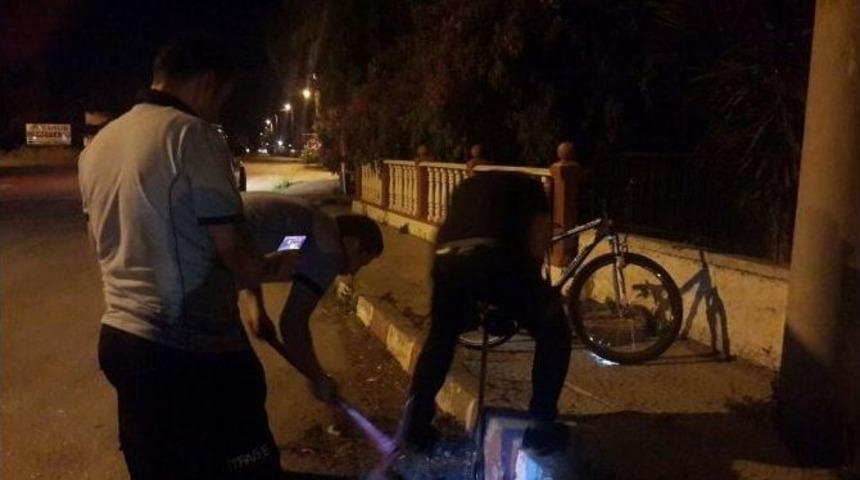 Yavru Kedi &Ccedil;ocuklar Sayesinde Kurtuldu