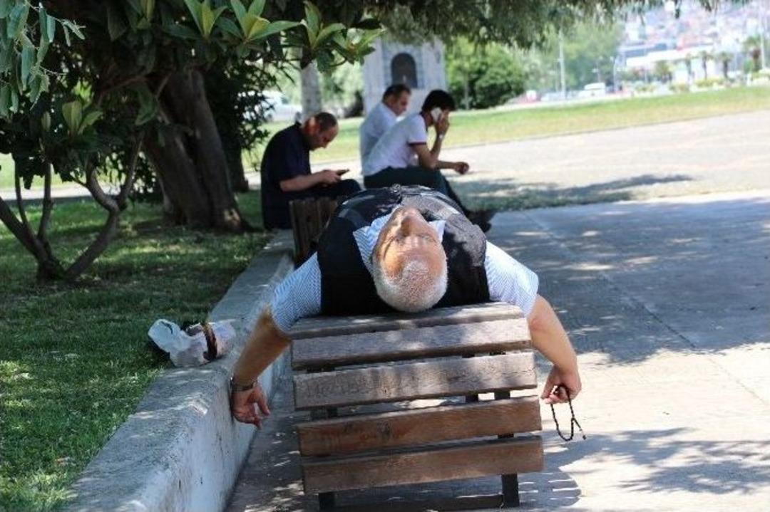 Sıcaktan Bunalanlar G&ouml;lgeye Sığındı