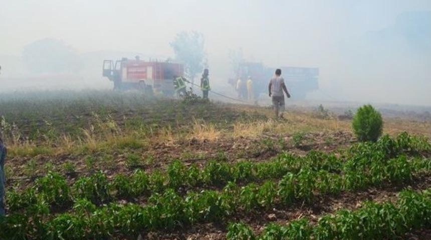 Kula&rsquo;da Makilik Alanda Yangın