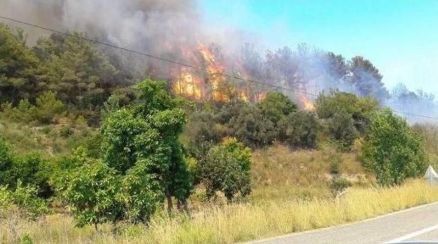 8 Hektarlık Orman Arazisi Zarar Gördü