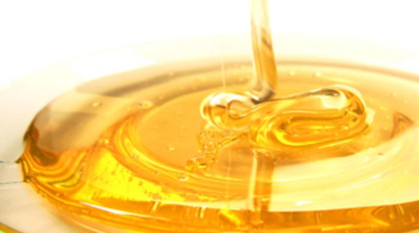 Arı olmadan bal üretiyorlar