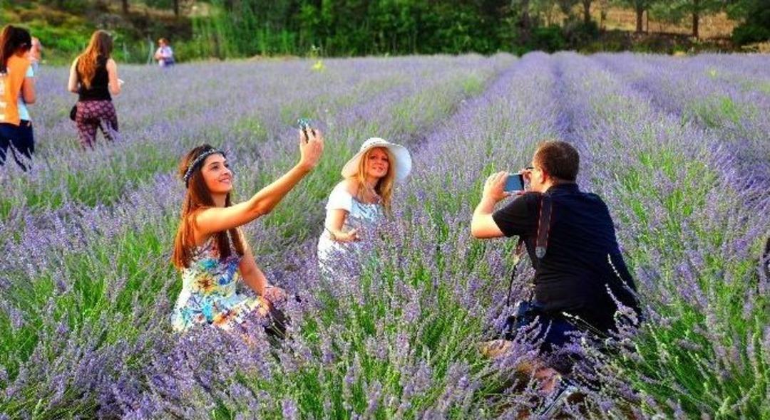 Sakin Şehirde Mis Kokulu Festival