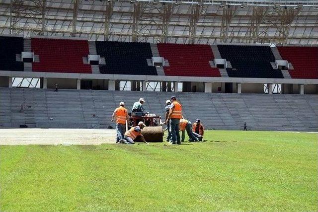 Gap Arena’da Çim Serme İşlemi Başladı