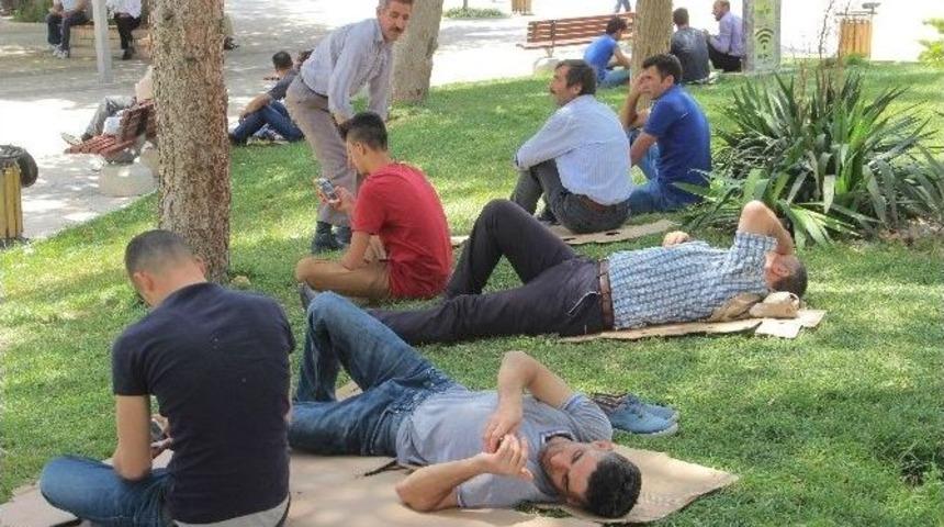 Sıcaklar Arttı, Bunalanlar Kendini G&ouml;lgeye Attı