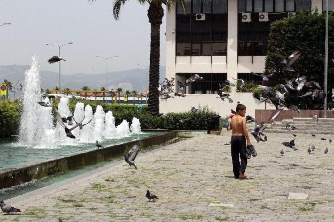 İzmir 41 Dereceyi G&ouml;rd&uuml;