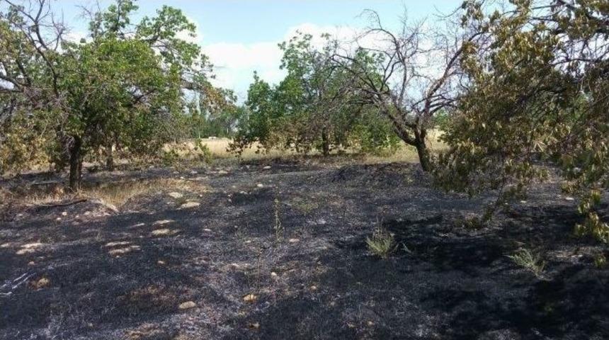 Malatya&rsquo;da 10 D&ouml;n&uuml;ml&uuml;k Kayısı Bah&ccedil;esi Yandı