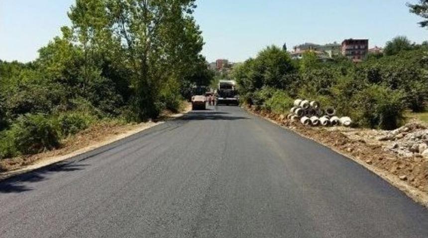 Kocaali&rsquo;de D&ouml;n&uuml;ş&uuml;m Başladı