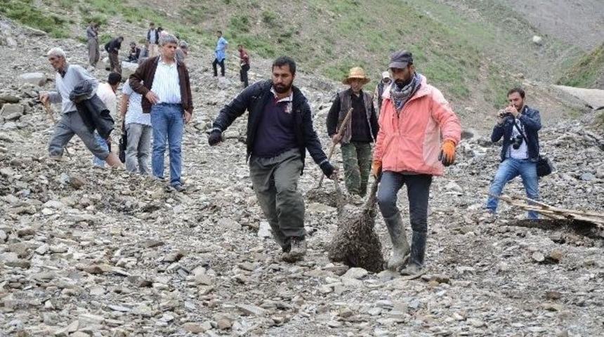 Sel Sularına Kapılan 800 Hayvan Telef Oldu