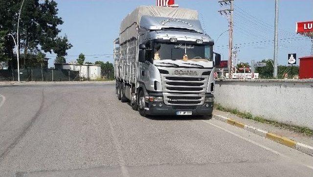 Antalya&rsquo;dan Kocaeli&rsquo;ye Sebze Getiren Kamyon S&uuml;r&uuml;c&uuml;s&uuml;ne Otomobil &Ccedil;arptı 3