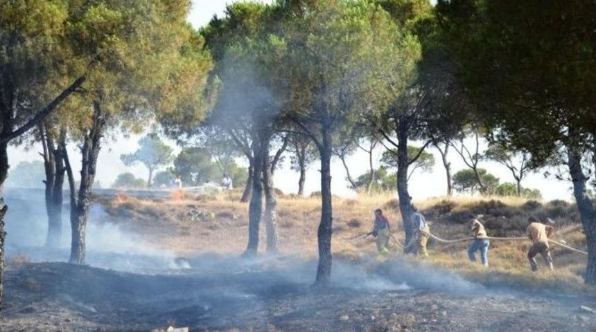 Ayvalık&rsquo;ta Orman Yangını