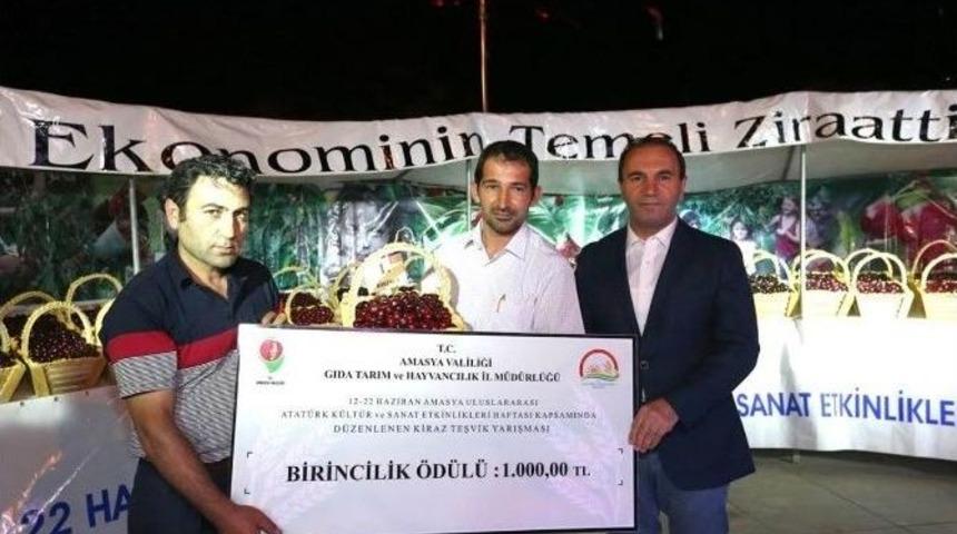 Amasya&rsquo;nın Kirazları Yarıştı