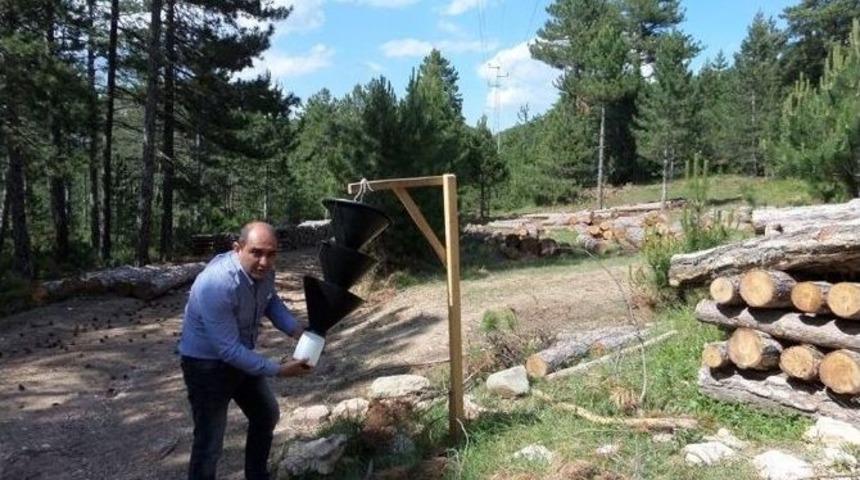 K&uuml;tahya&rsquo;da Zararlı B&ouml;ceklere Karşı Etkin M&uuml;cadele