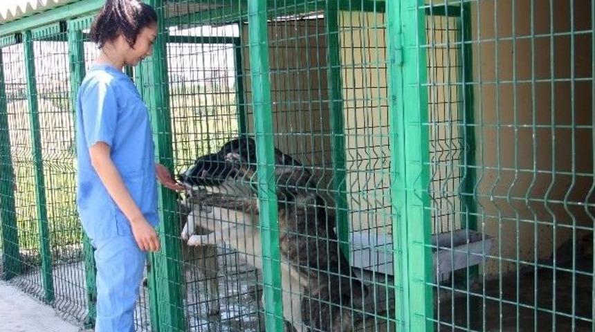 Eğitimleri Tamam &Ouml;m&uuml;rl&uuml;k Dost Bekliyorlar