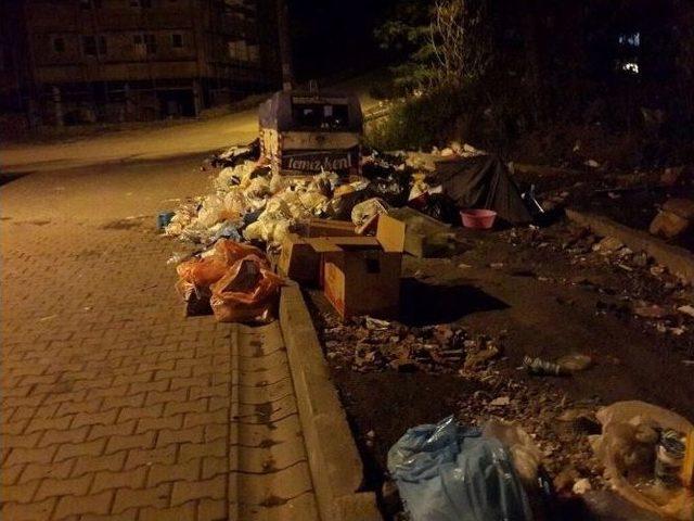 Zonguldak’ta Toplanmayan Çöpler Kötü Görüntü Oluşturuyor