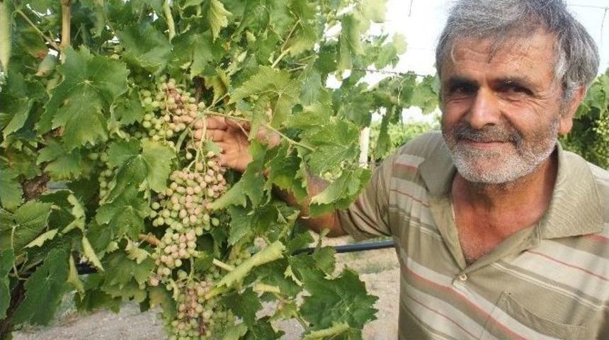 &Uuml;z&uuml;mc&uuml;y&uuml; Dolu Ve Don Afetinden Sonra G&uuml;neş Vurdu